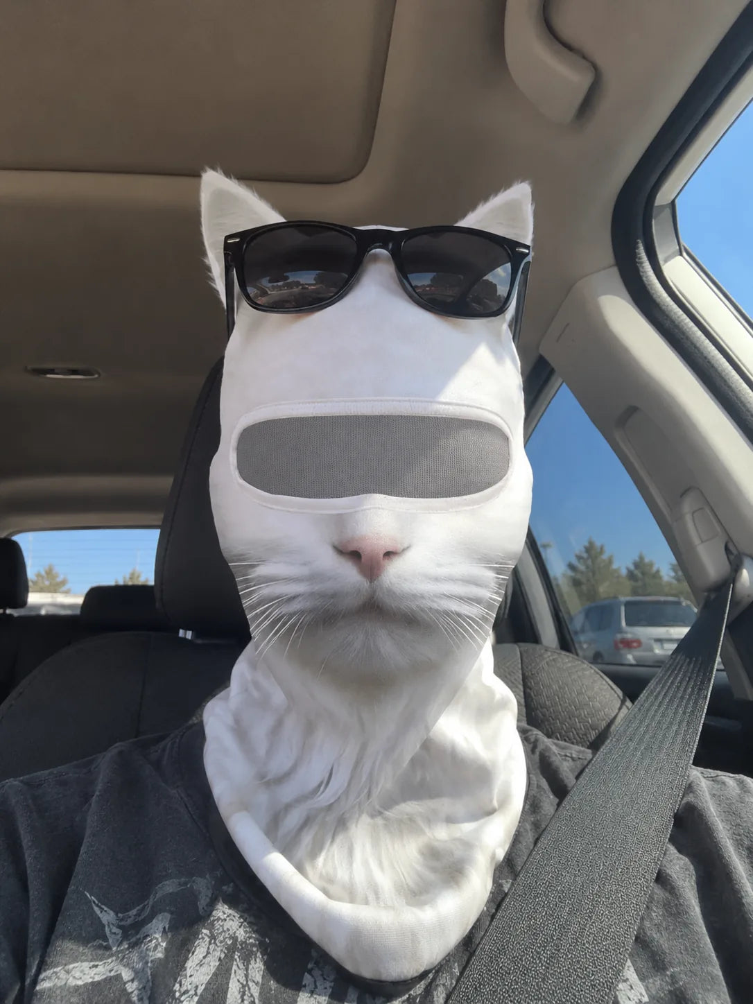 Wildside Animal Balaclava in use at home.