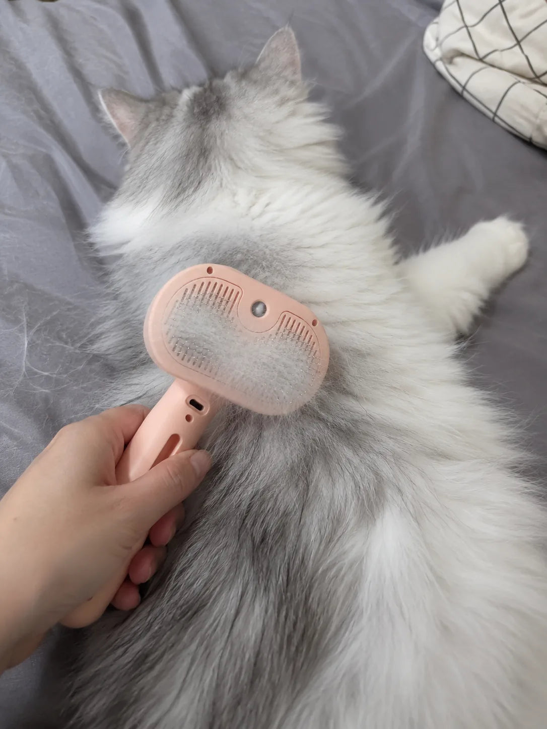 Mist Pet Grooming Brush in use at home.